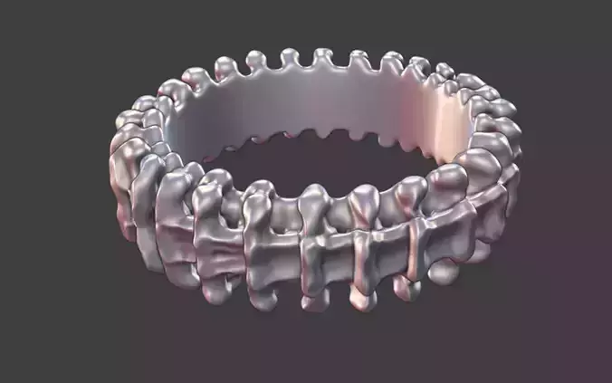 Vertebra Bone Ring