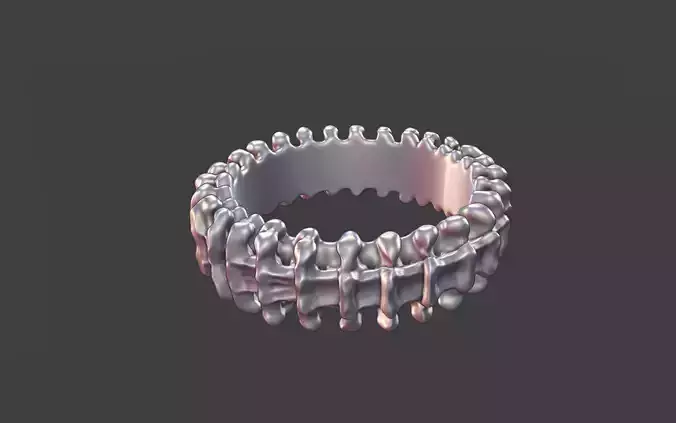 Vertebra Bone Ring