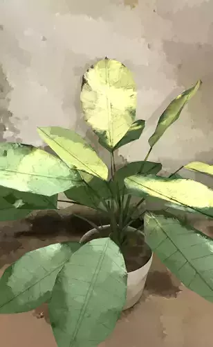 Handpainted Pot Plant 3D model