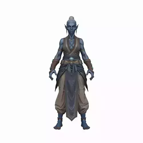 Stunning Detailed 3D Model of Serene Night Elf Monk in World