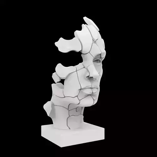 Abstract Face Sculpture 3D Print Model
