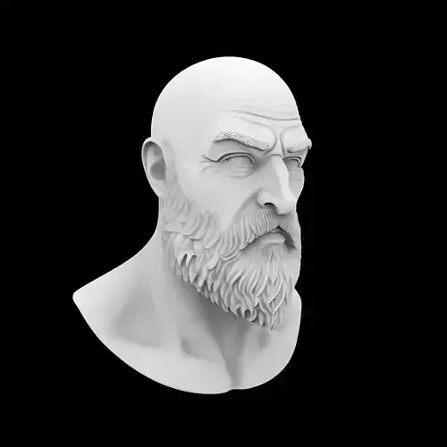 Man Calm Expression Bust 3D Print Model