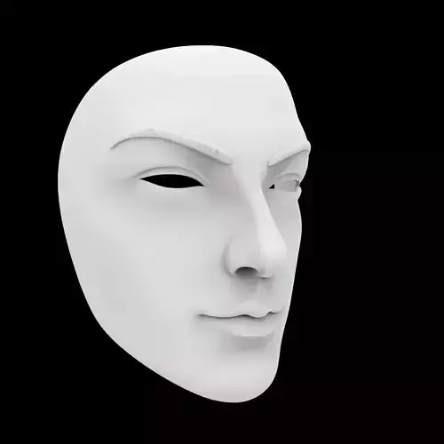 Mask D 3D Print Model