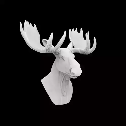 Moose Head Bust 3D Print Model