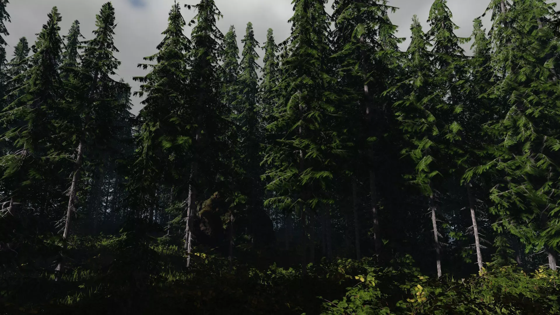 FREE Realistic Douglas Fir Tree Preview Free low-poly 3D model_2