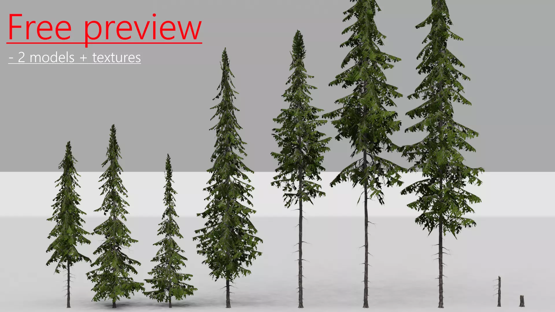FREE Realistic Douglas Fir Tree Preview Free low-poly 3D model_0