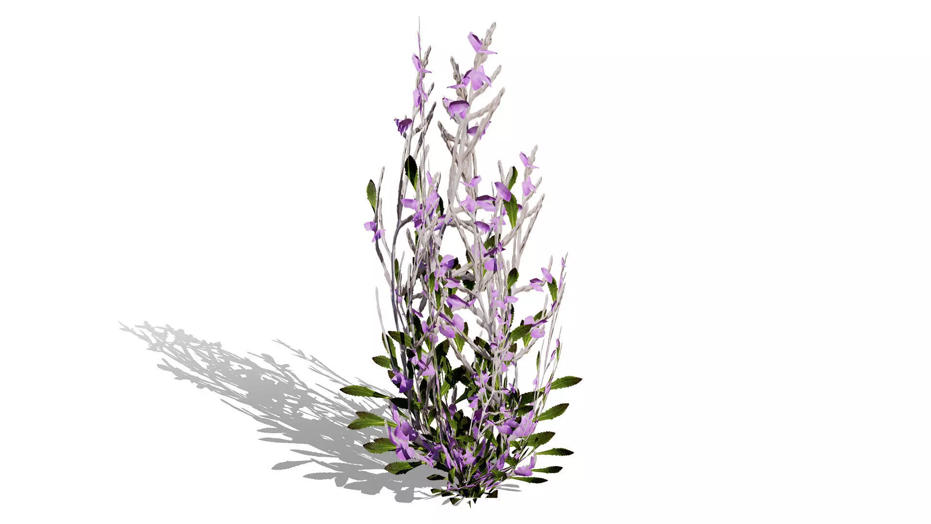 Game-Ready 3D Foliage Pack Low-poly 3D model_5