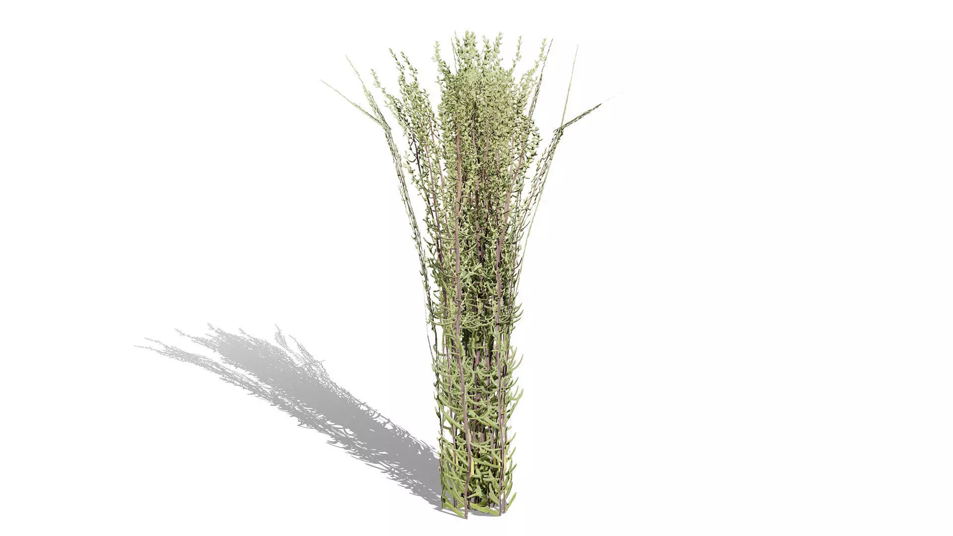 Game-Ready 3D Foliage Pack Low-poly 3D model_9