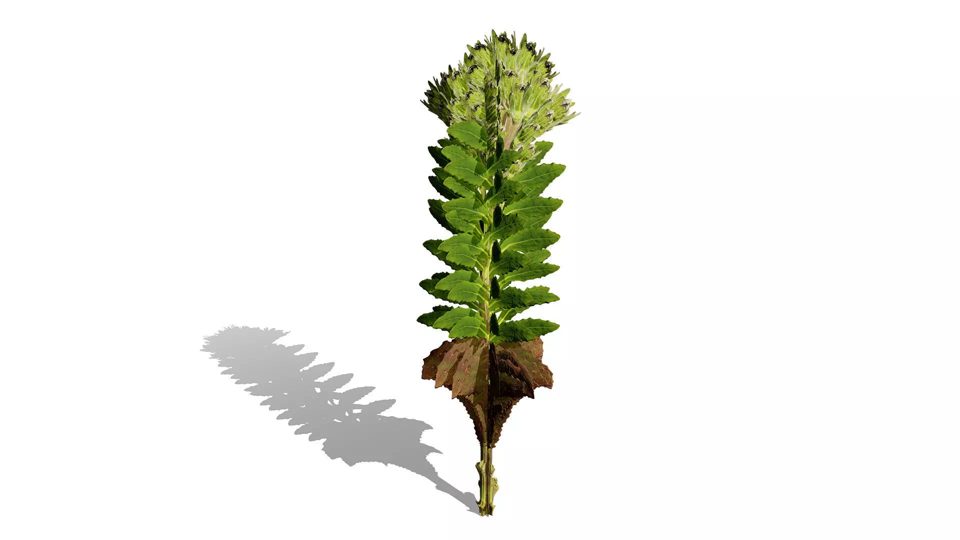 Game-Ready 3D Foliage Pack Low-poly 3D model_3