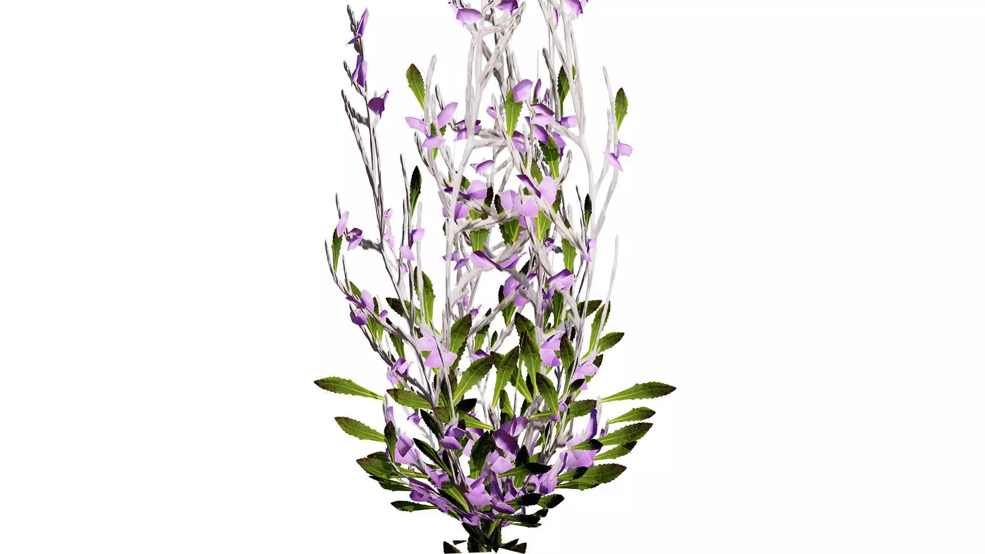 Game-Ready 3D Foliage Pack Low-poly 3D model_6