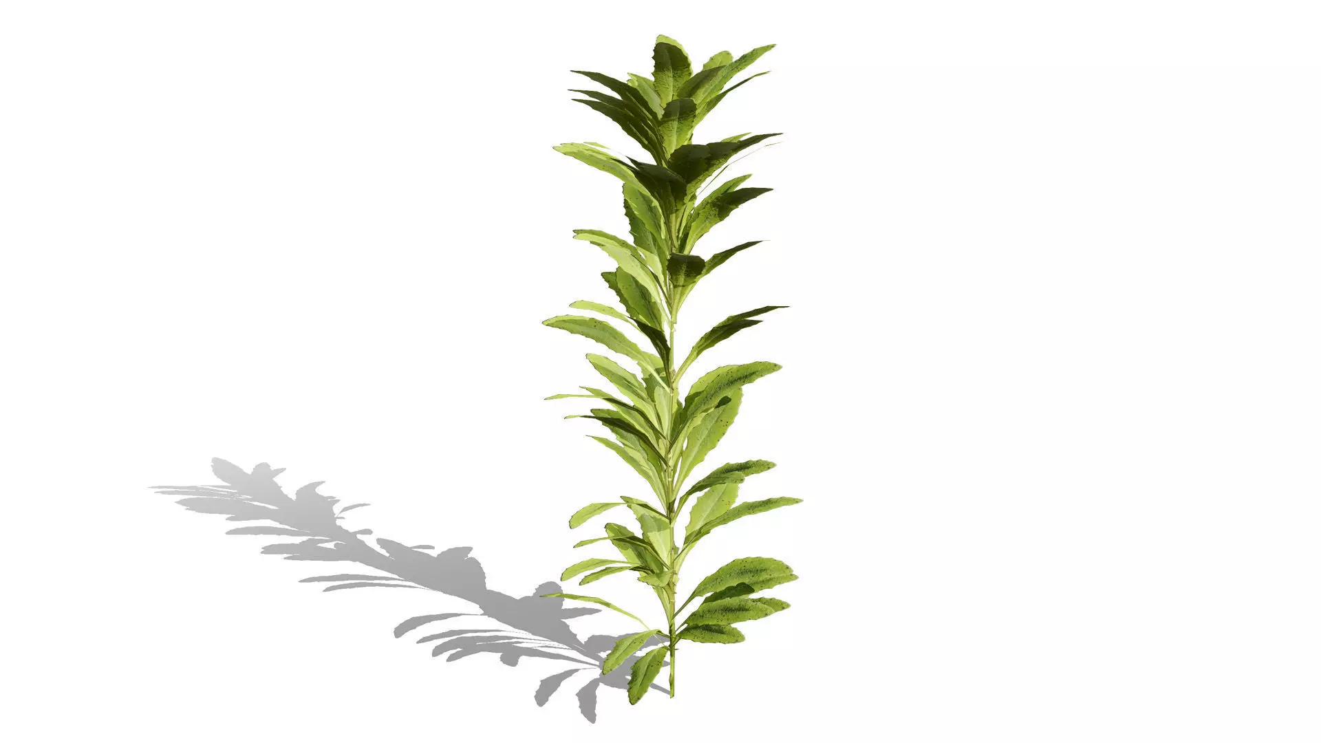 Game-Ready 3D Foliage Pack Low-poly 3D model_1
