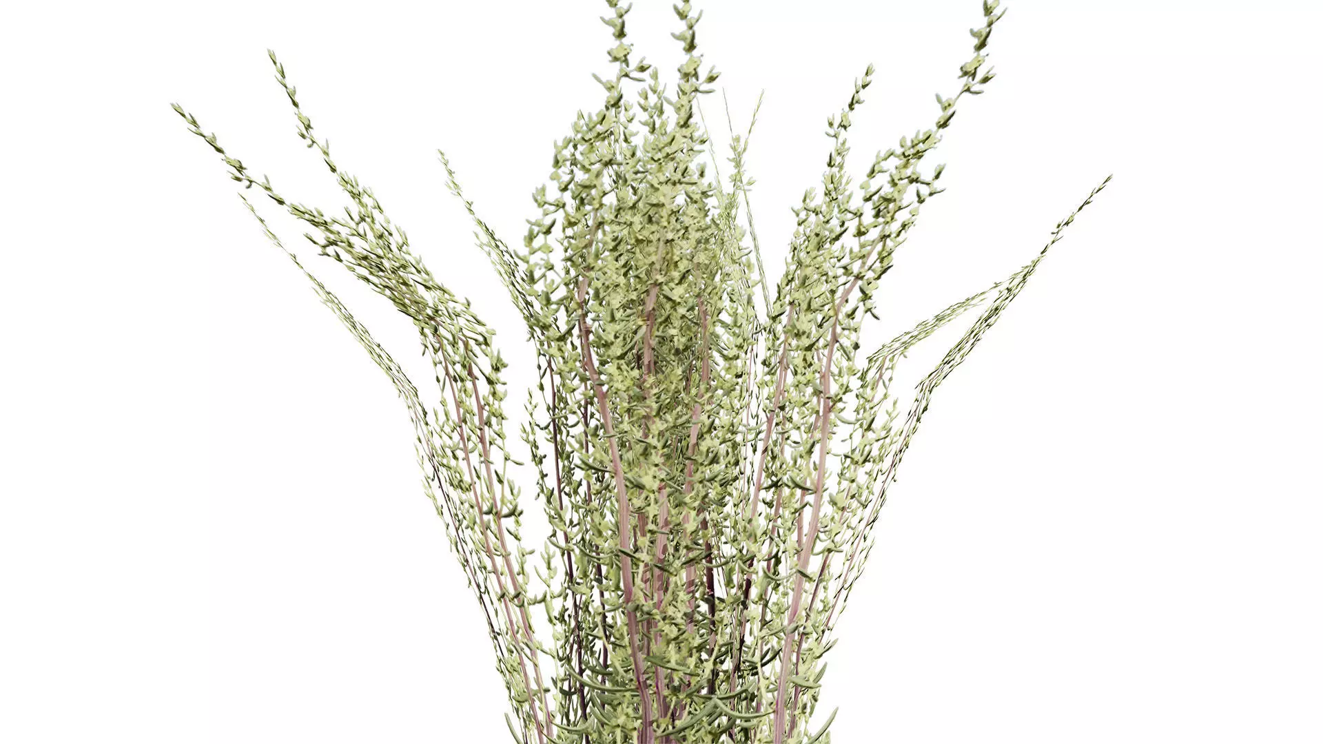 Game-Ready 3D Foliage Pack Low-poly 3D model_10