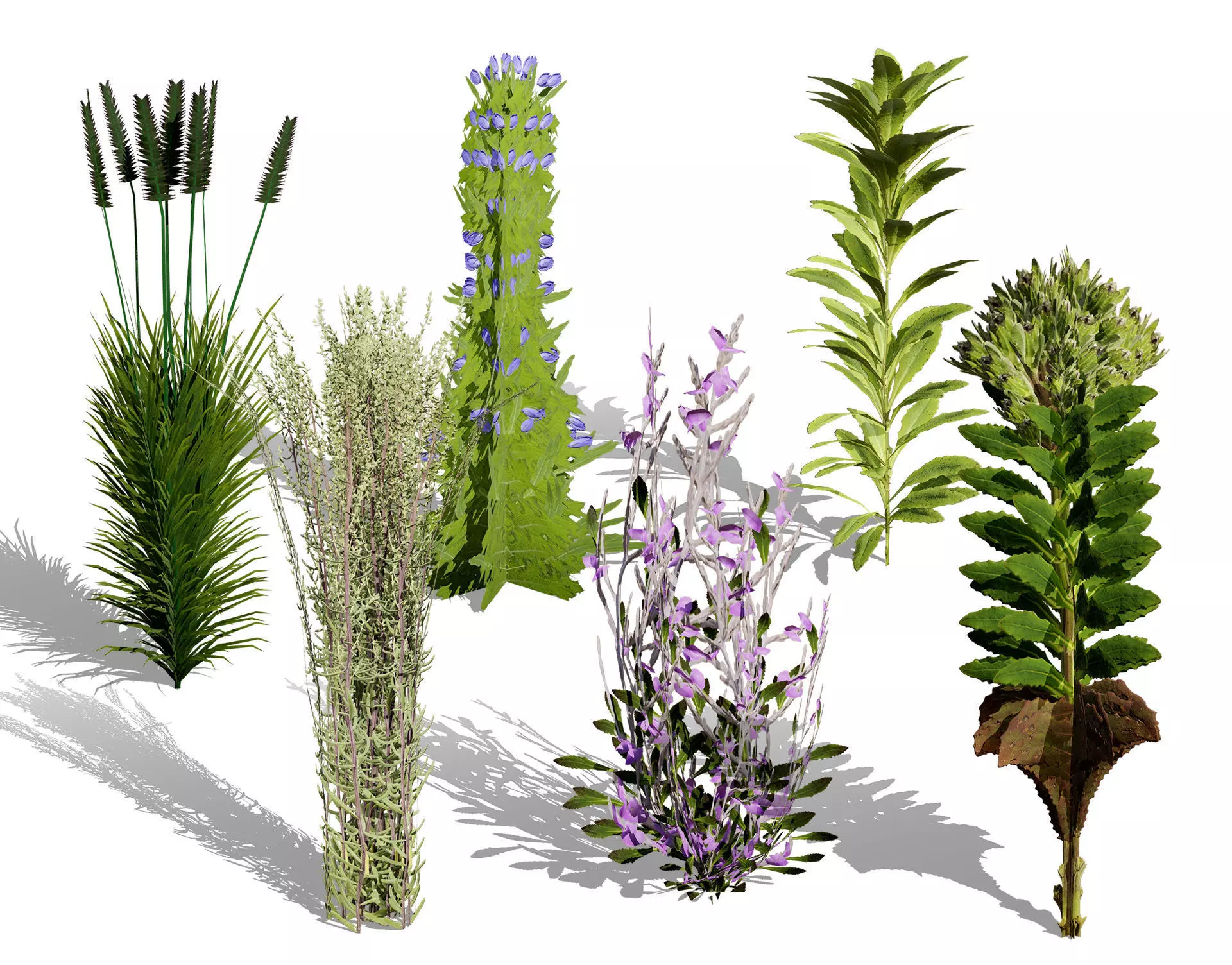 Game-Ready 3D Foliage Pack Low-poly 3D model_0