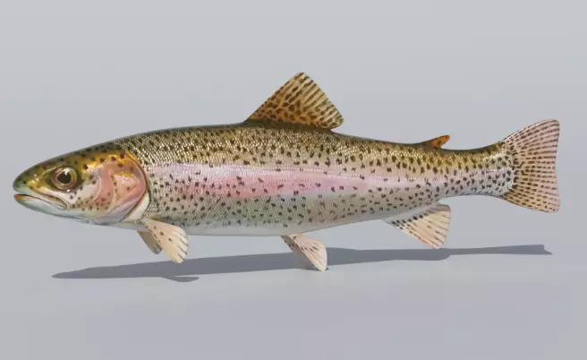 191 Ultimate Low Poly Animal Pack Low-poly 3D model_101