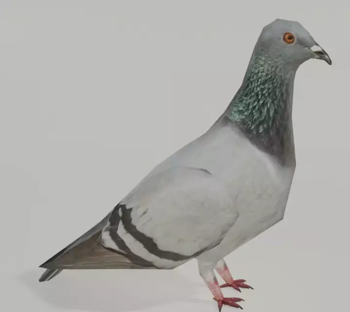 191 Ultimate Low Poly Animal Pack Low-poly 3D model_100