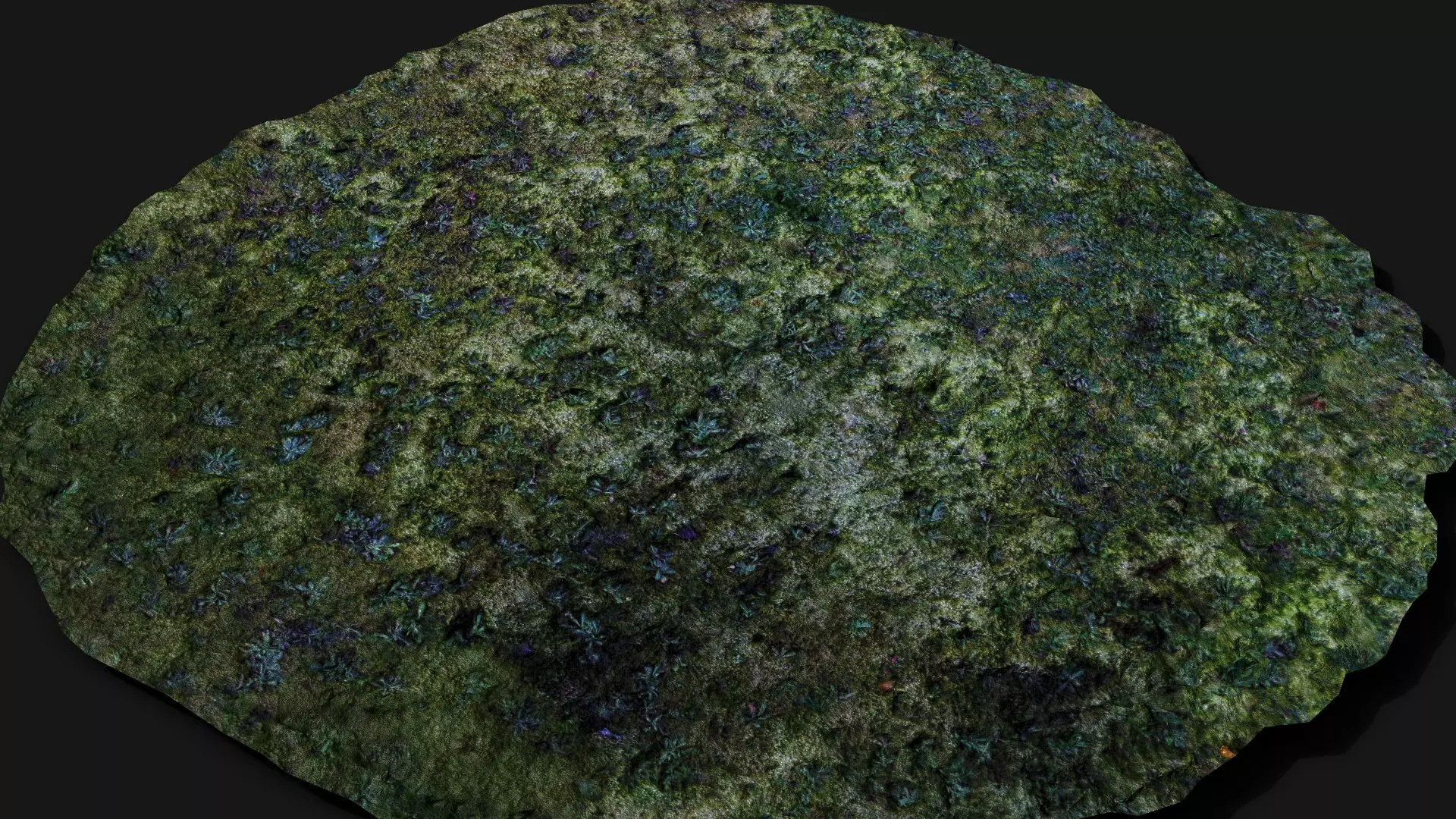 forest ground small plants patch PBR photogrammetry Low-poly 3D model