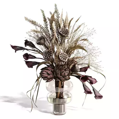  Lotus and Artichoke Dried Set47