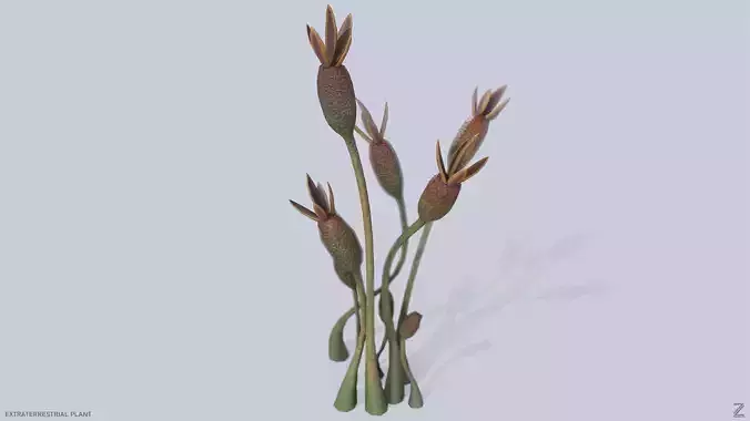 Extraterrestrial plant