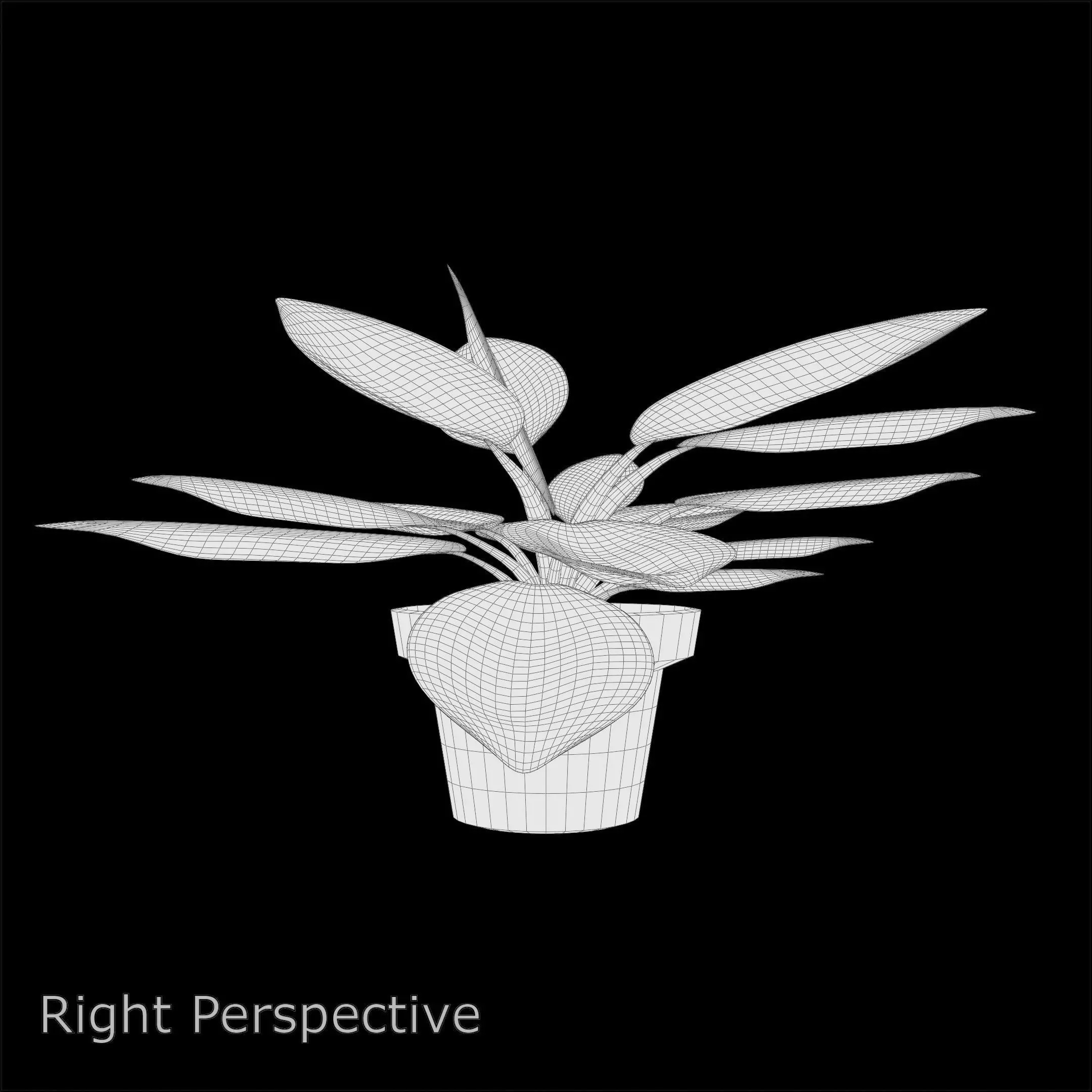 Aglaonema Red Valentine PBR 4K 3D model_8