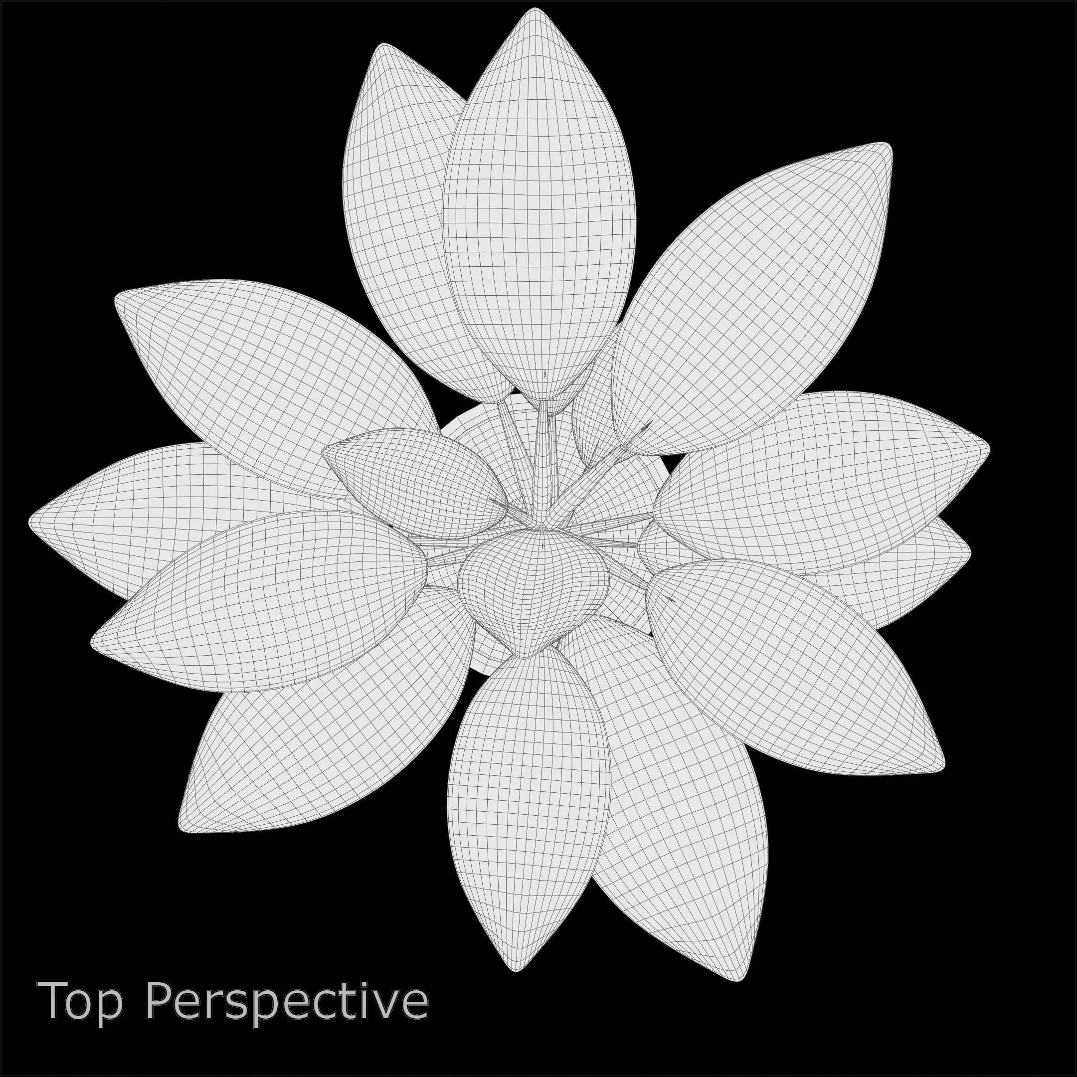 Aglaonema Red Valentine PBR 4K 3D model_9