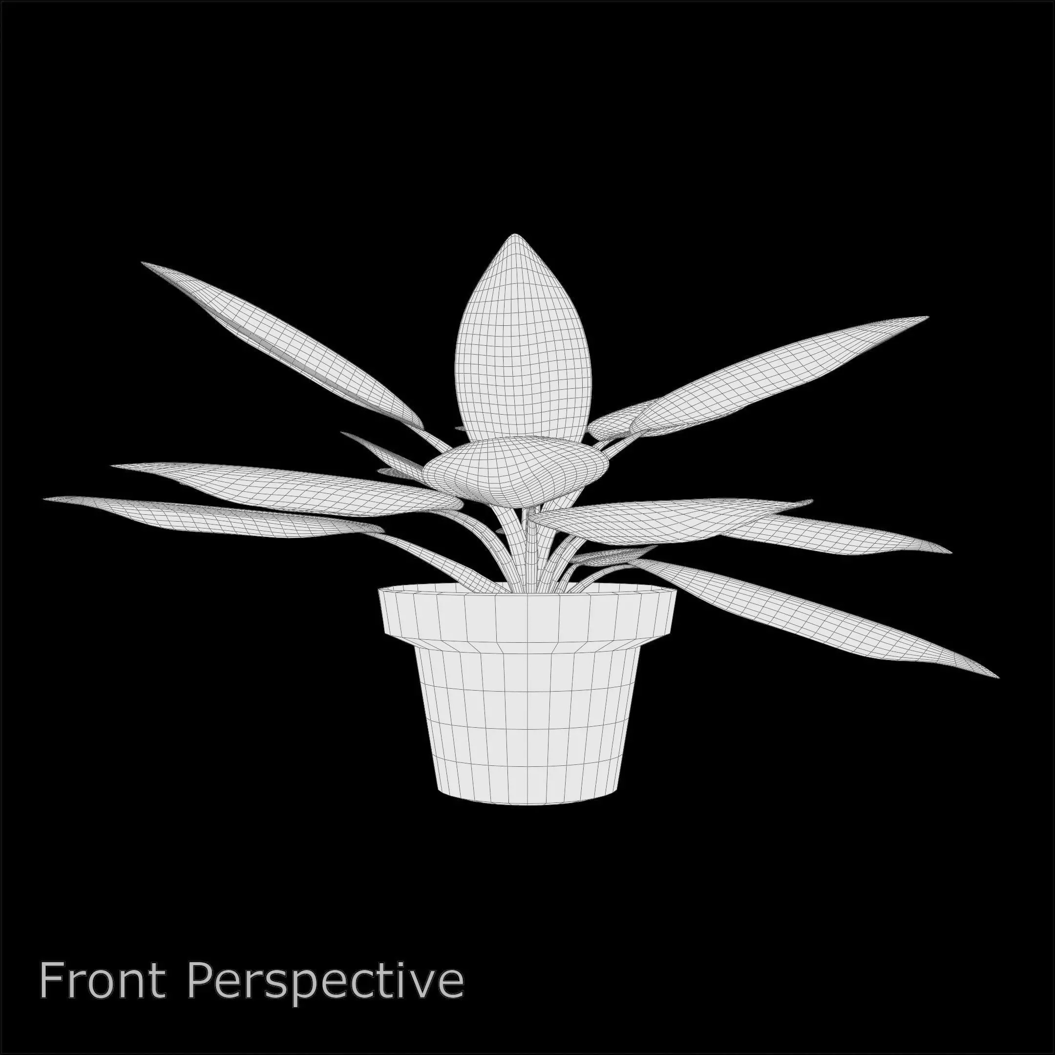 Aglaonema Red Valentine PBR 4K 3D model_11