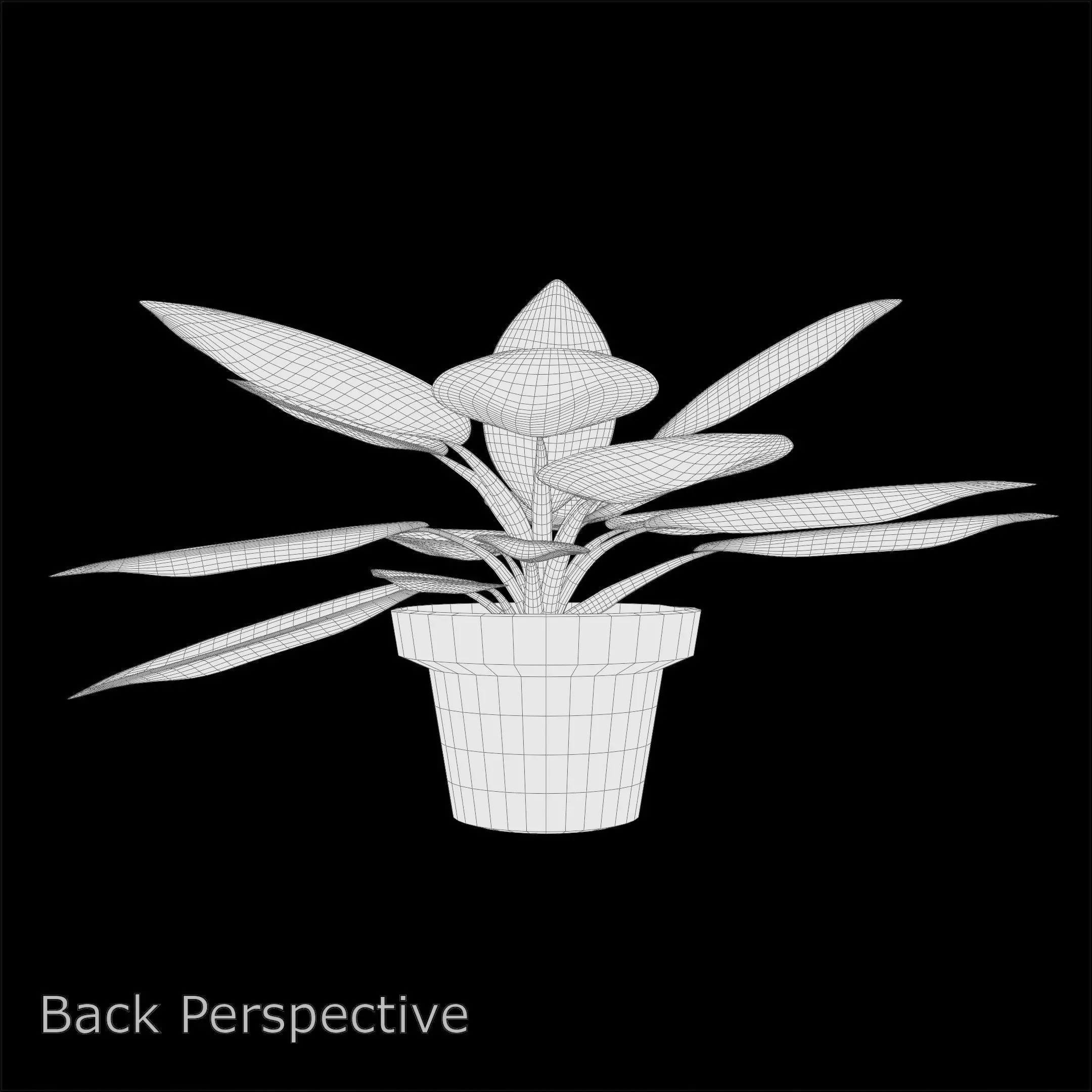 Aglaonema Red Valentine PBR 4K 3D model_12