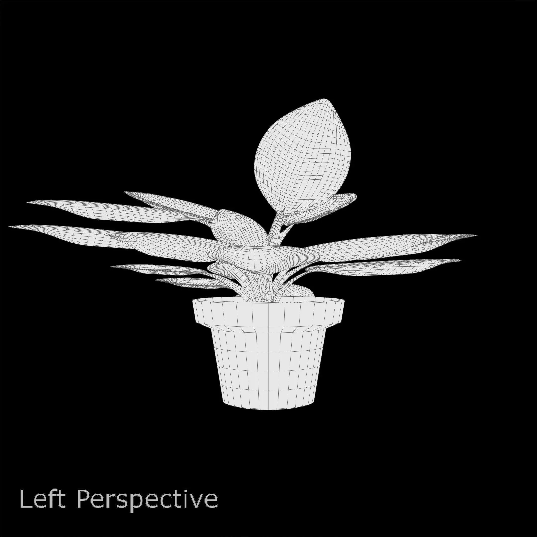 Aglaonema Pride of Sumatra PBR 4K 3D model_7