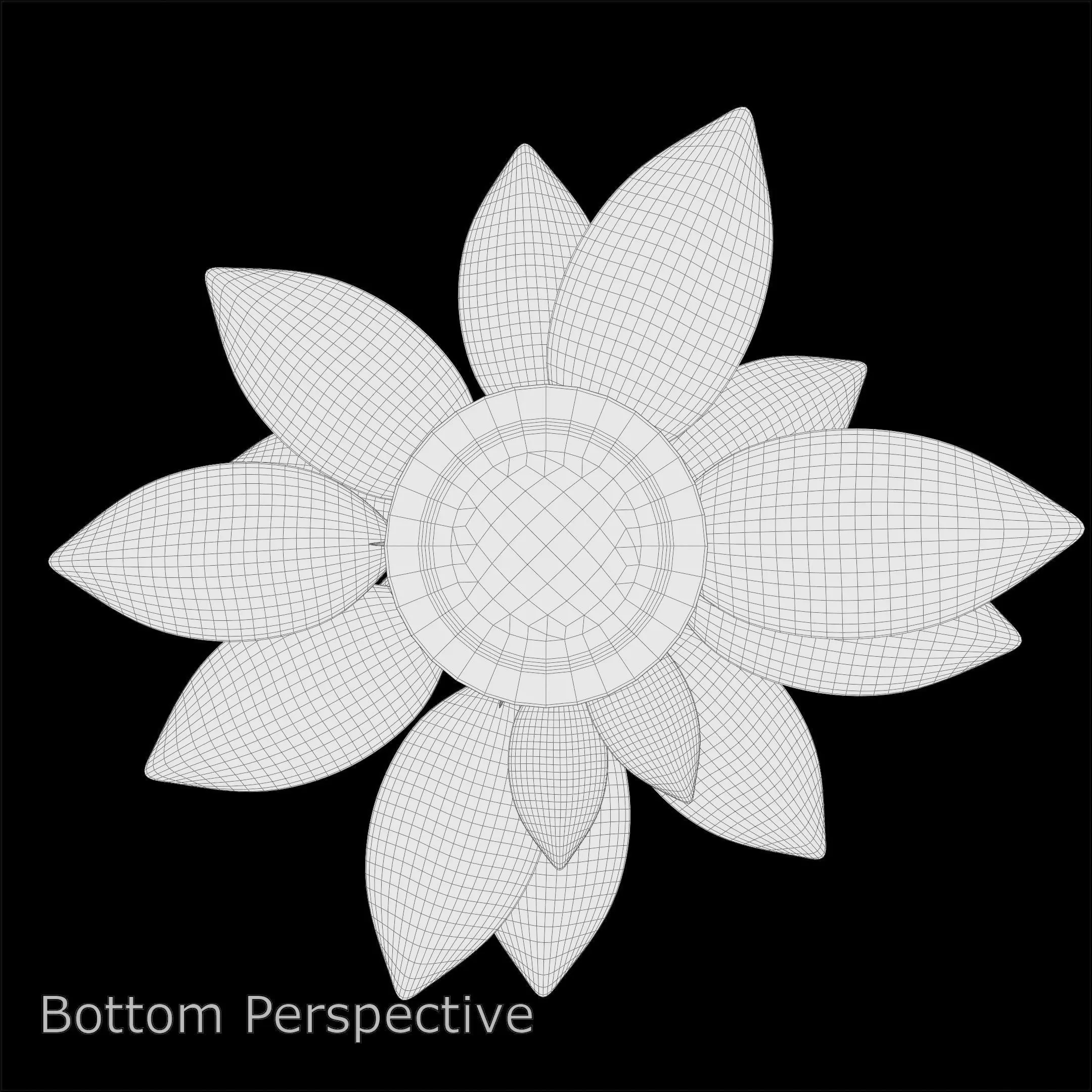 Aglaonema Pride of Sumatra PBR 4K 3D model_10