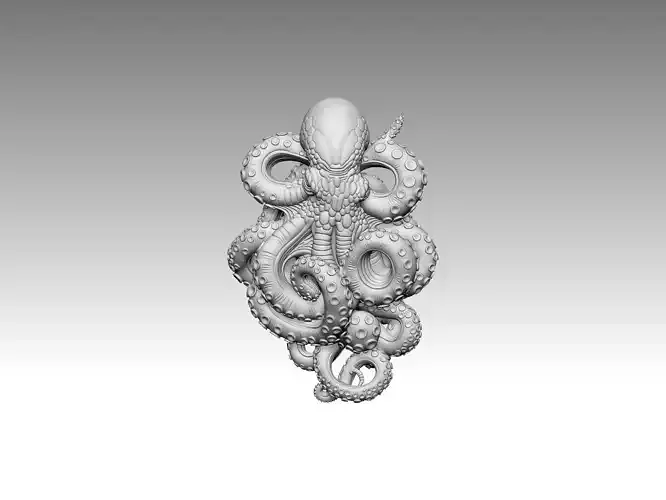 octopus  sea creature