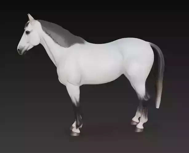 White Horse
