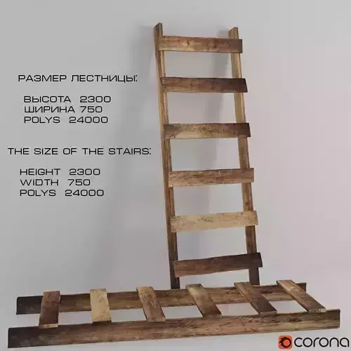 Ladder stepladder