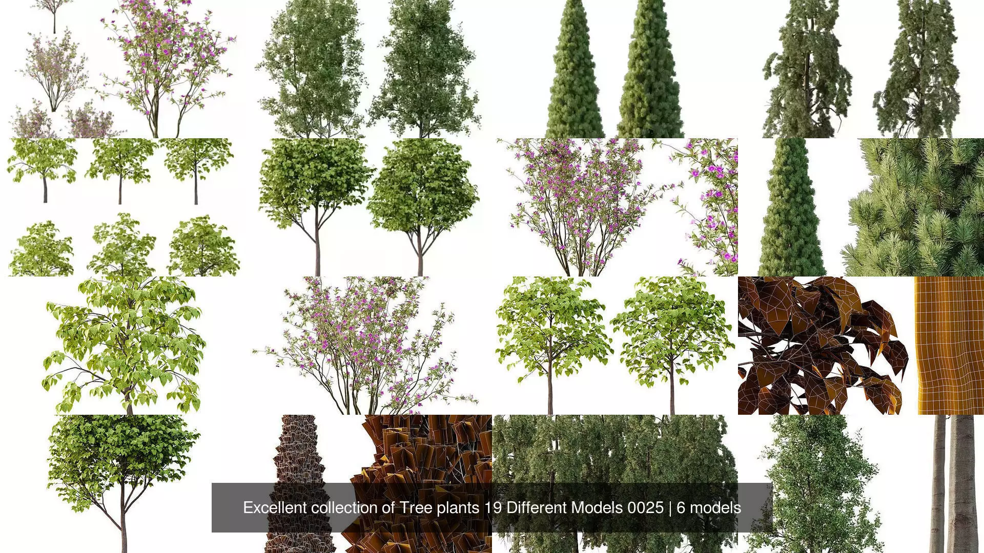 Excellent collection of Tree plants 19 Different Models 0025 _1