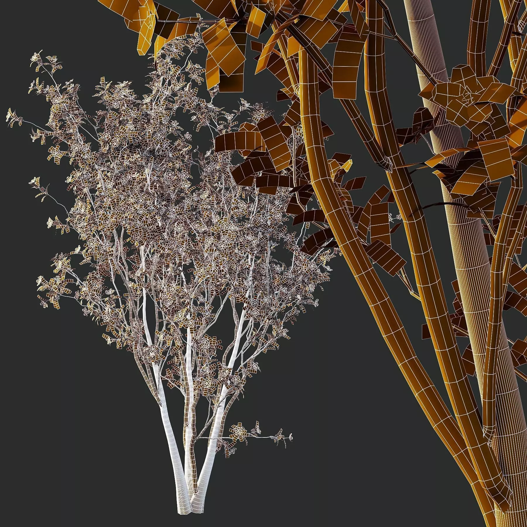 Excellent collection of Tree plants 19 Different Models 0025 _27