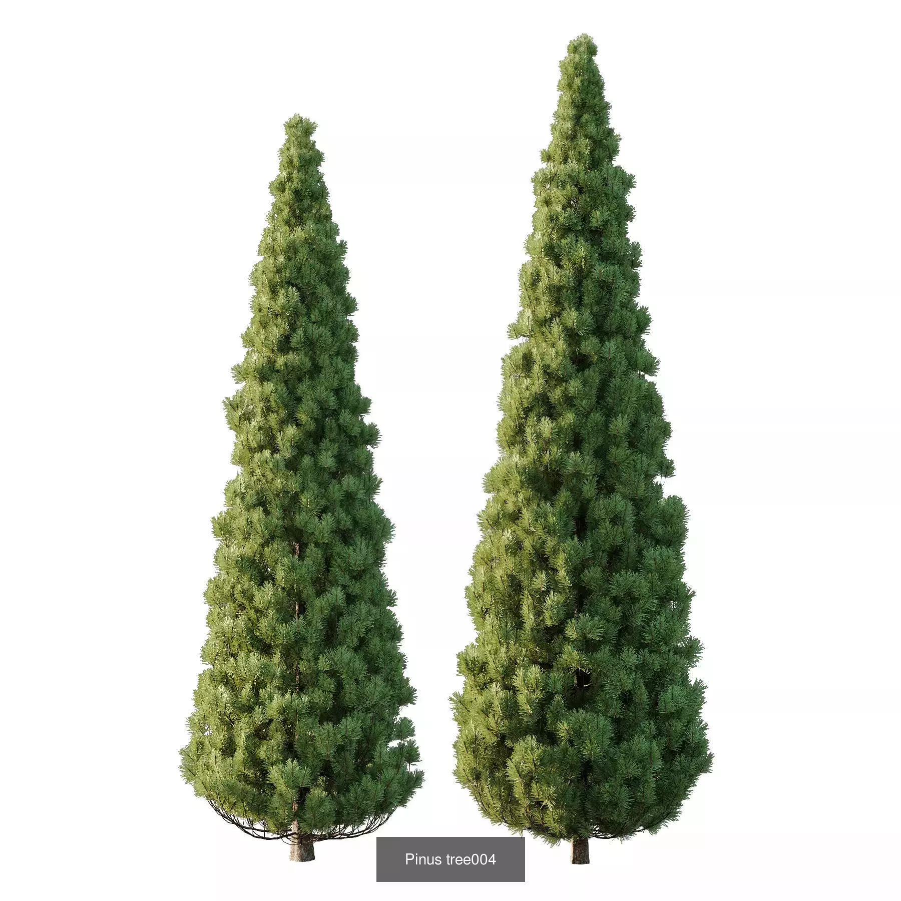 Excellent collection of Tree plants 19 Different Models 0025 _4