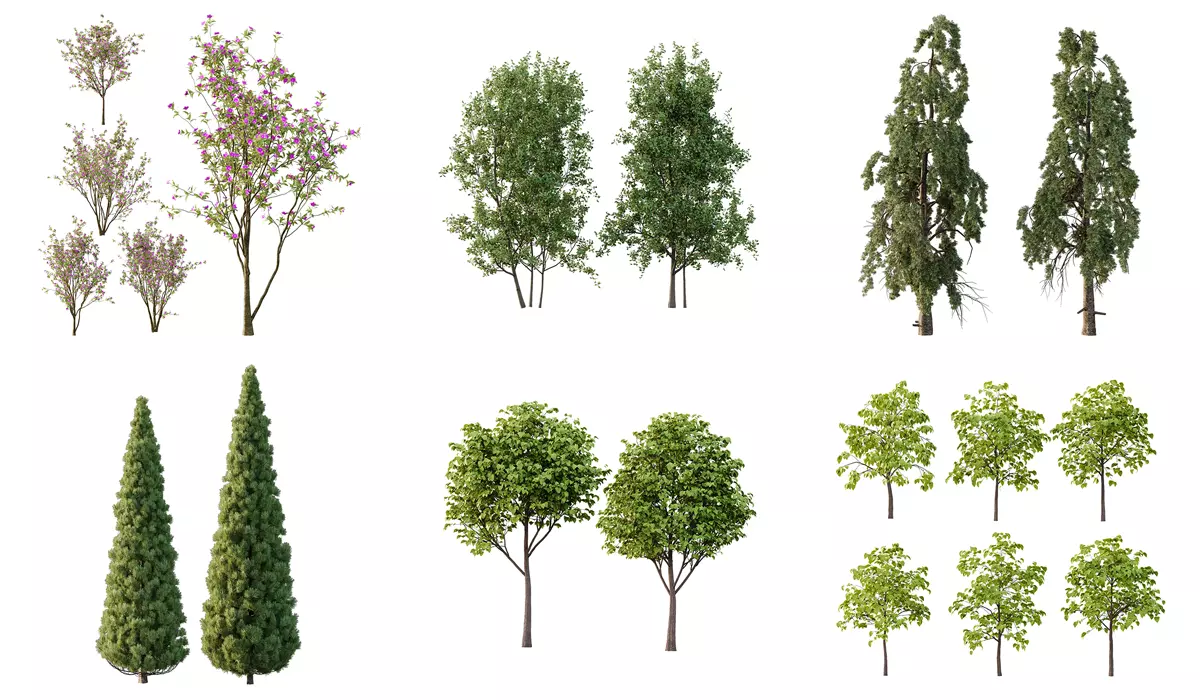 Excellent collection of Tree plants 19 Different Models 0025 _0