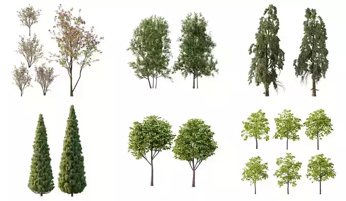 Excellent collection of Tree plants 19 Different Models 0025 Excellent collection of Tree plants 19 Different Models 0025