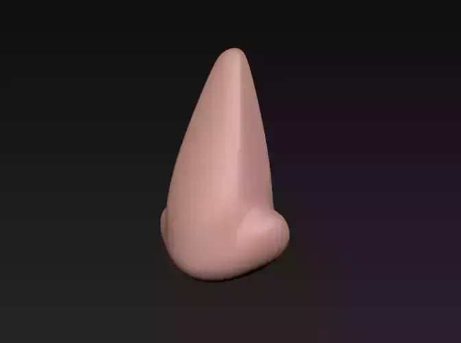 Fake Nose 3D print model