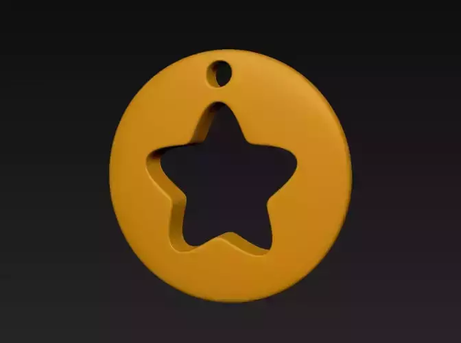 Star Pet Tag