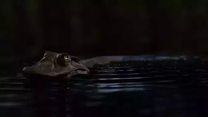 Black Caiman full rigged 3d model