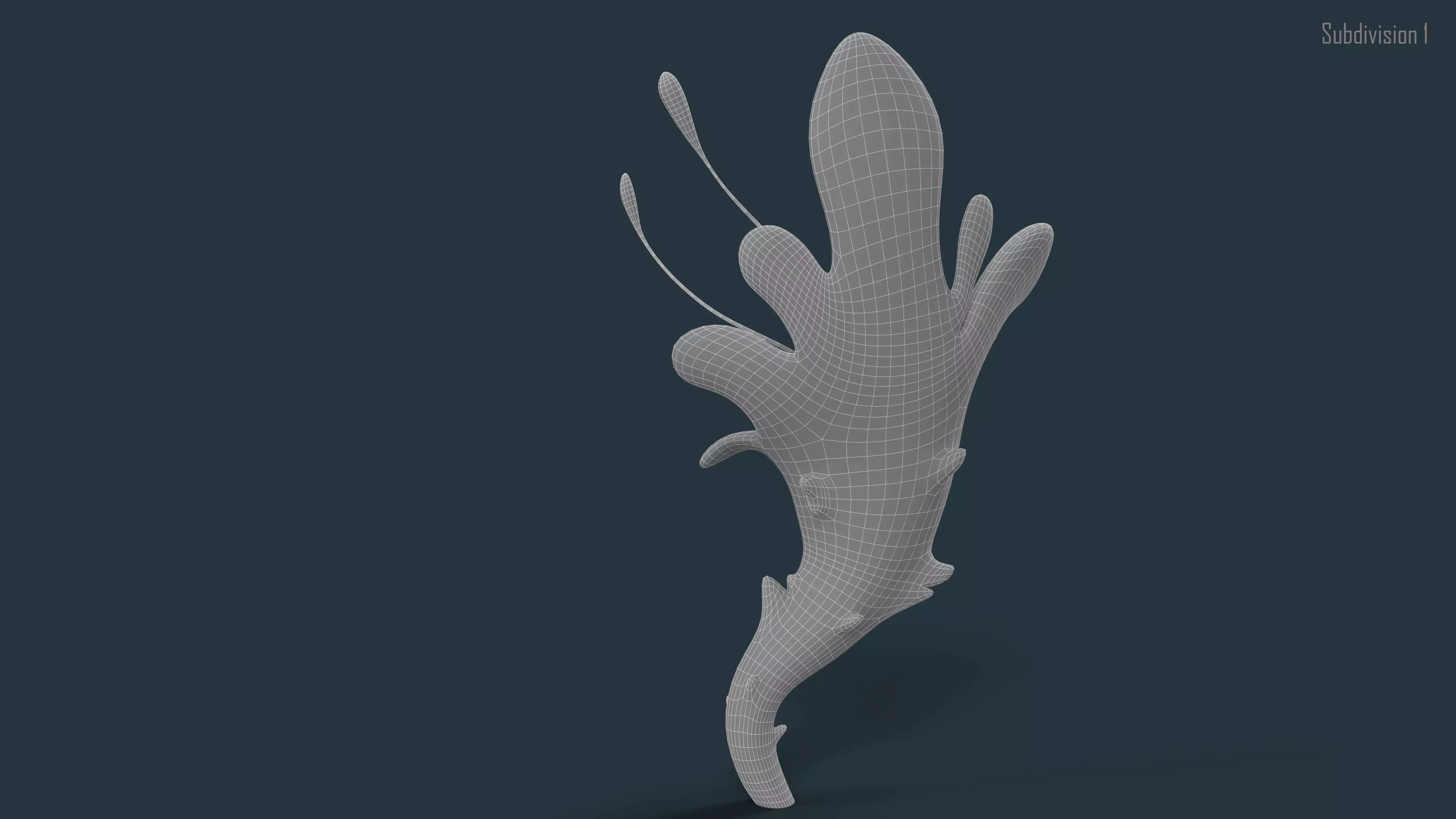 Cartoon Seaweed 01 Low-poly 3D model_16