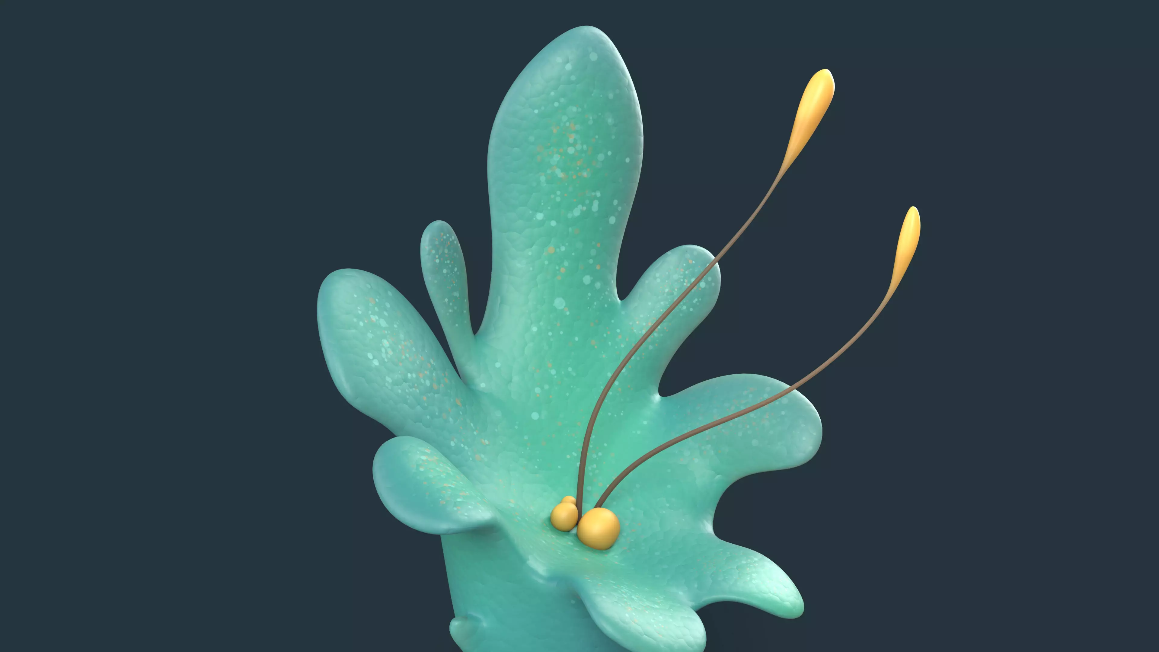 Cartoon Seaweed 01 Low-poly 3D model_8