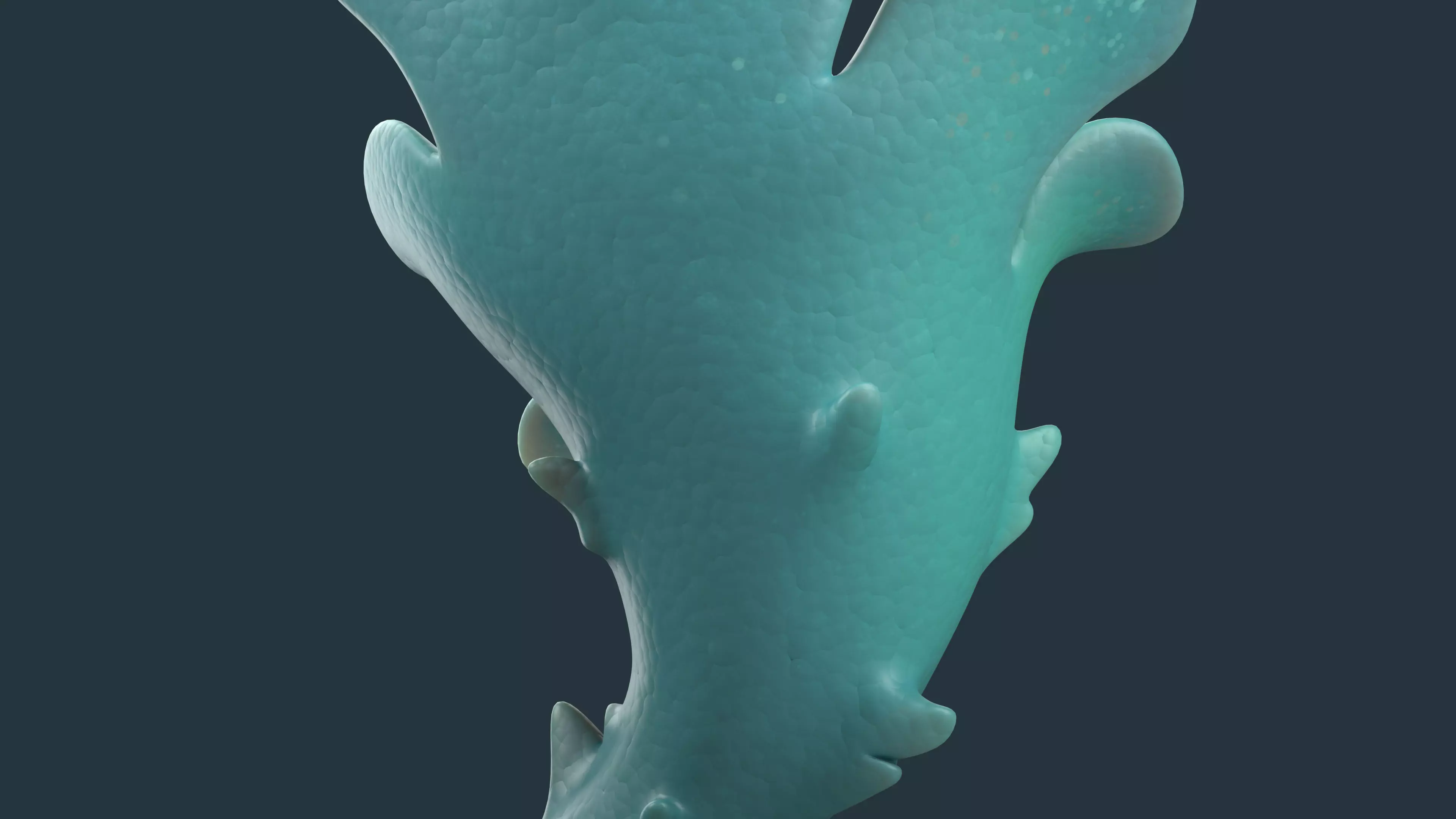 Cartoon Seaweed 01 Low-poly 3D model_11