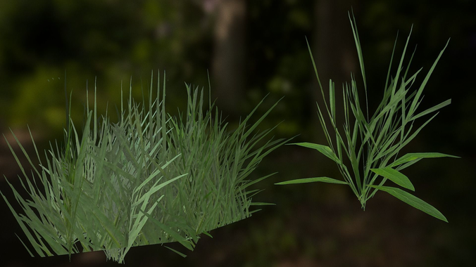 Free Basic Grass and Shrubs Free 3D model