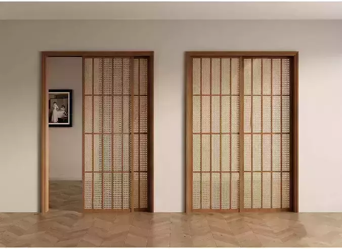 door glassdoor woodendoor 3D model