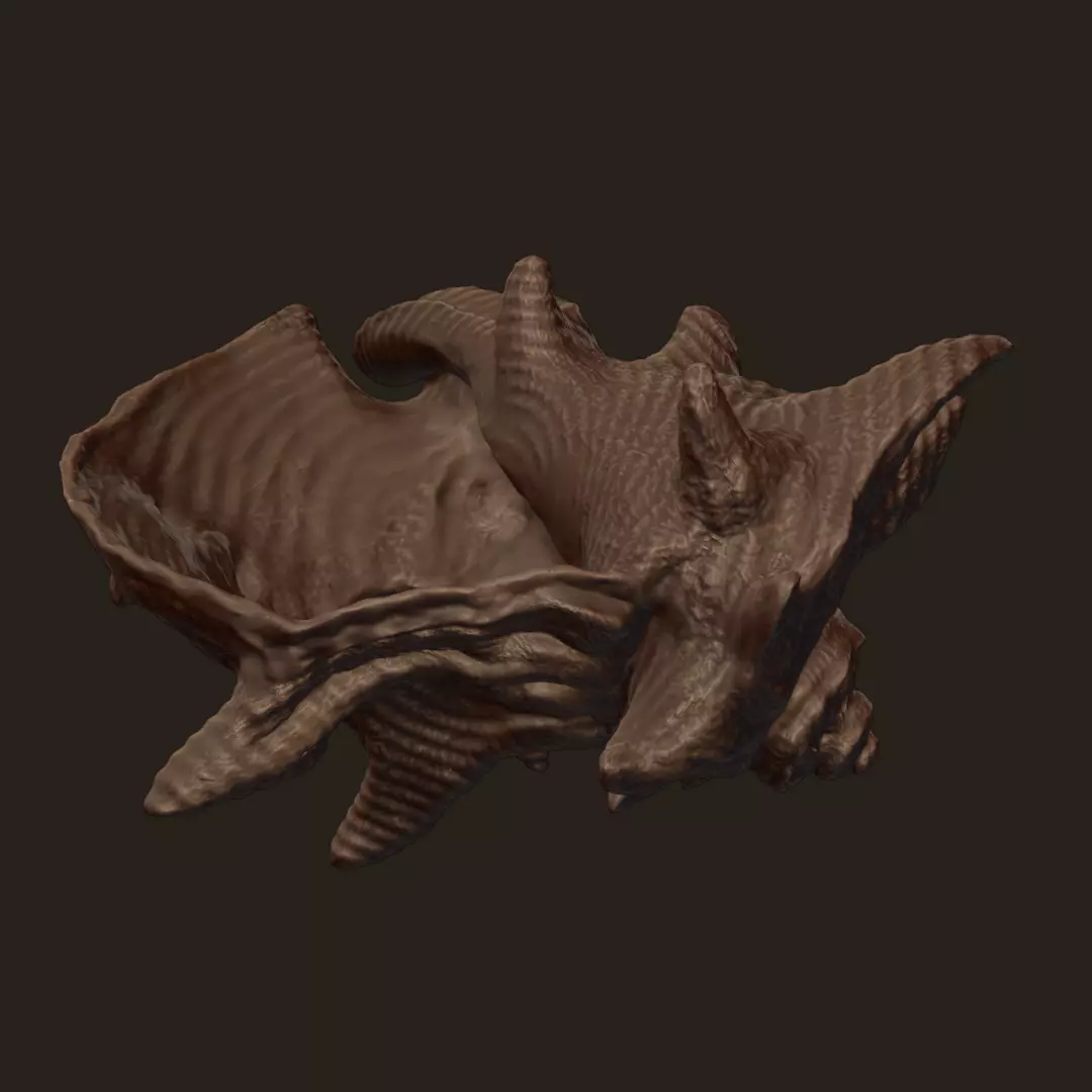 High Poly Spiky Fantasy Conch Shell 3D print model_8