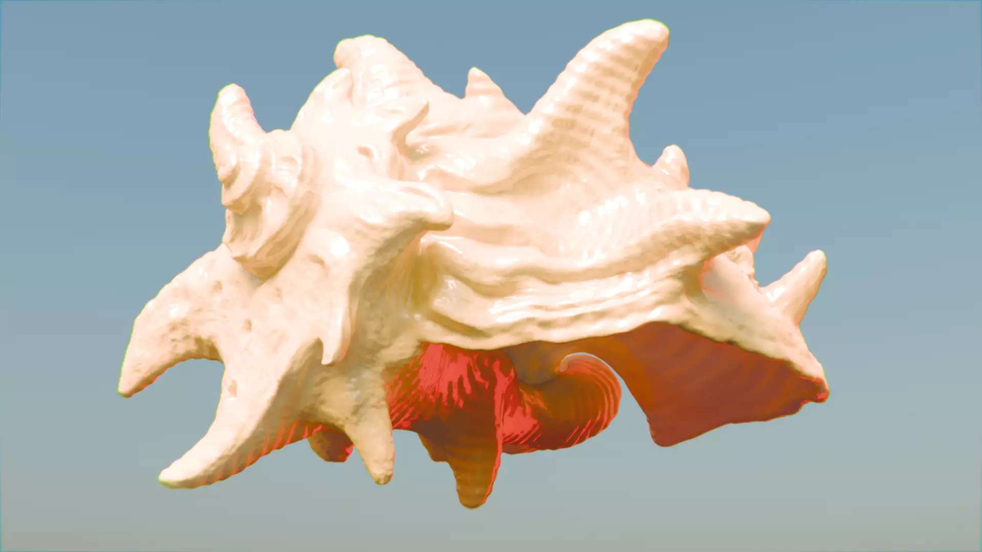 High Poly Spiky Fantasy Conch Shell 3D print model_1