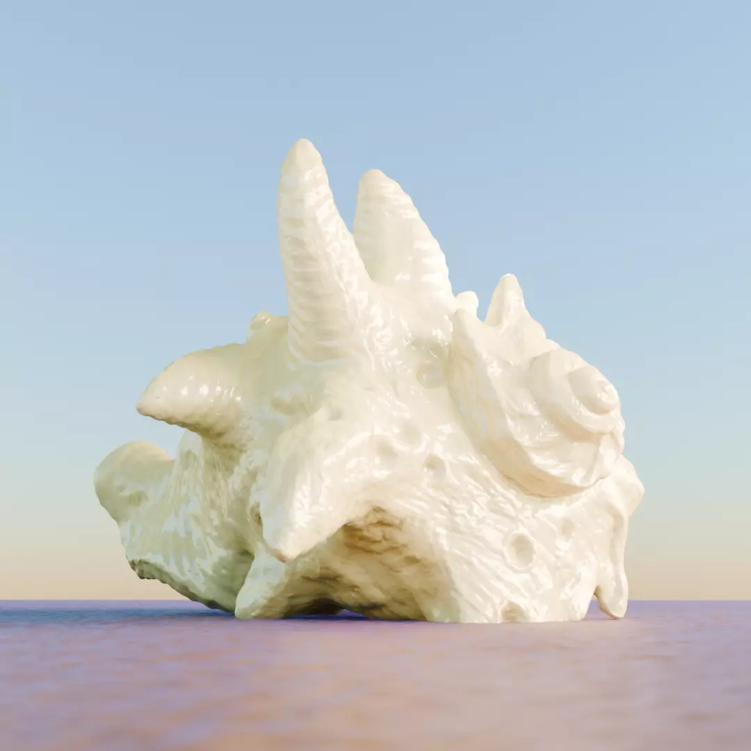 High Poly Spiky Fantasy Conch Shell 3D print model_5