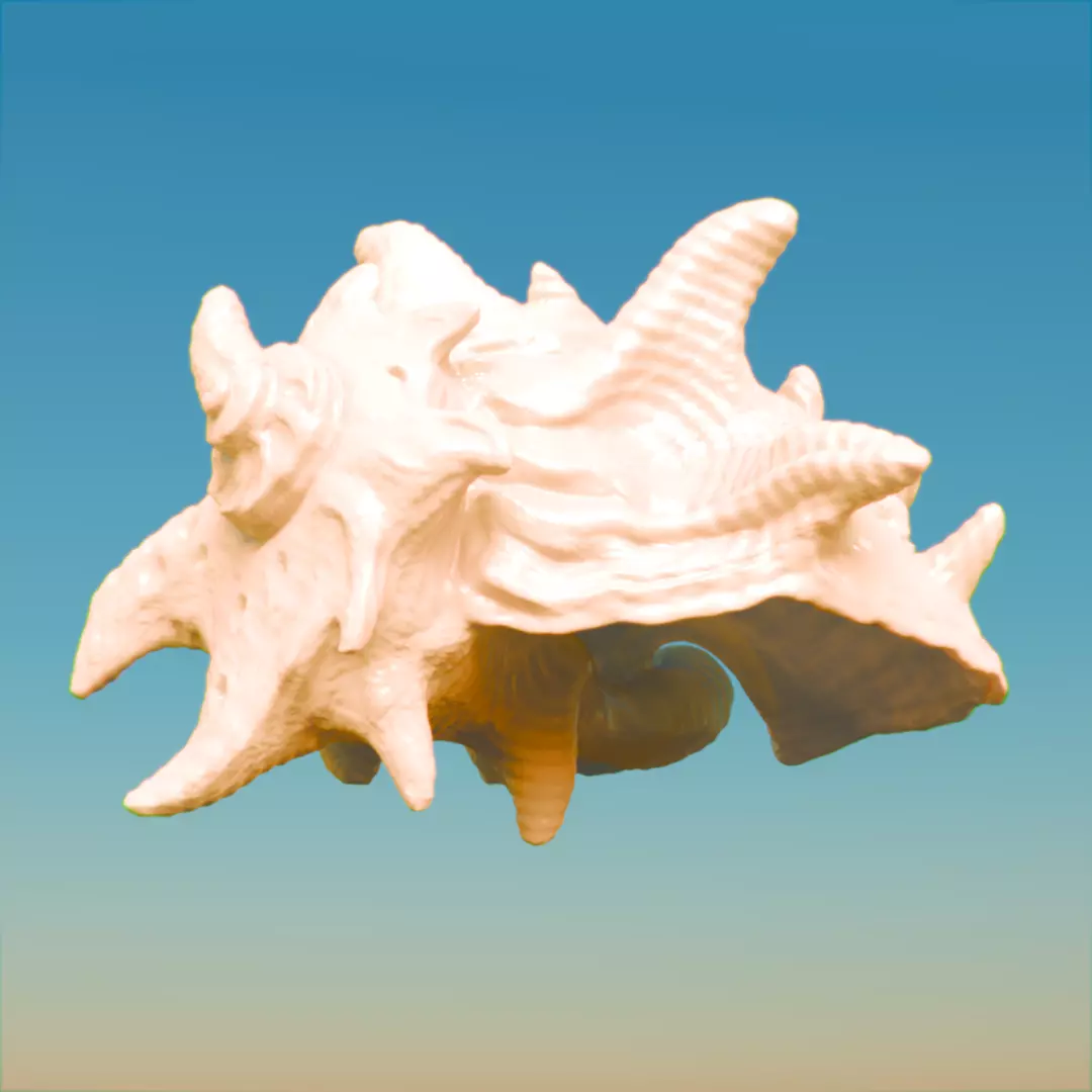 High Poly Spiky Fantasy Conch Shell 3D print model_3