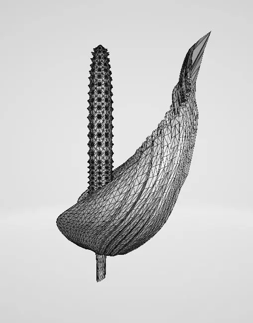 HAWAIIAN Anthurium FLOWER  Free 3D model_6