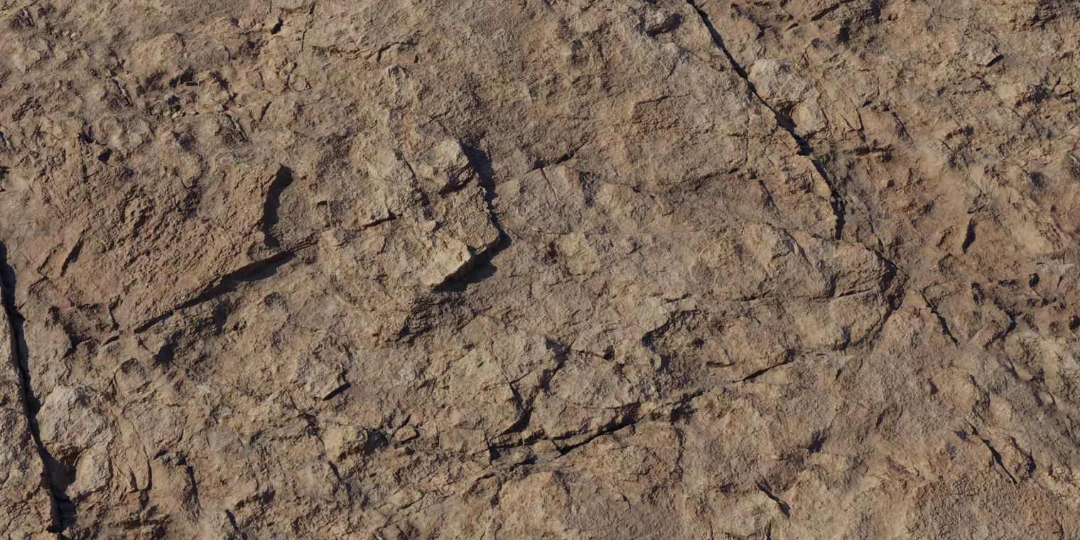 Realistic Weathered Rock Ground Texture Texture_1